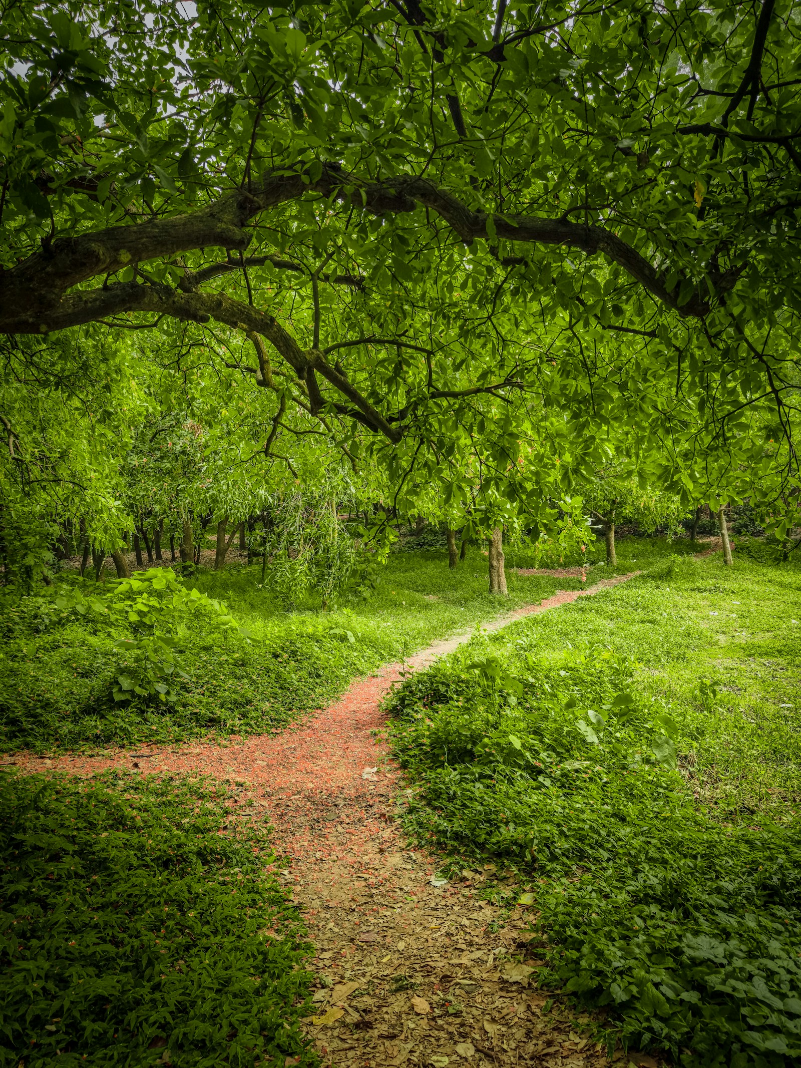 Fremtidige miljøløfter: poeng for plan eller poeng for forpliktelse?
